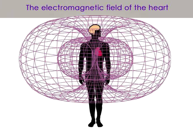 Electromagnetic Field of the Heart